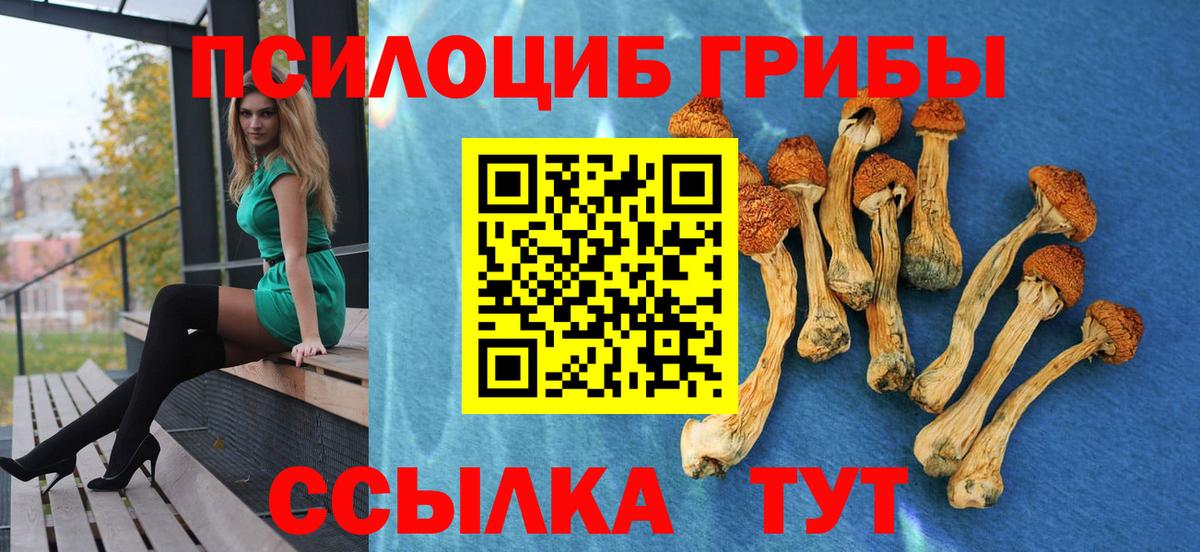 Котовск  Псилоцибиновые грибы Psilocybine cubensis  наркотики  Вход с VPN 