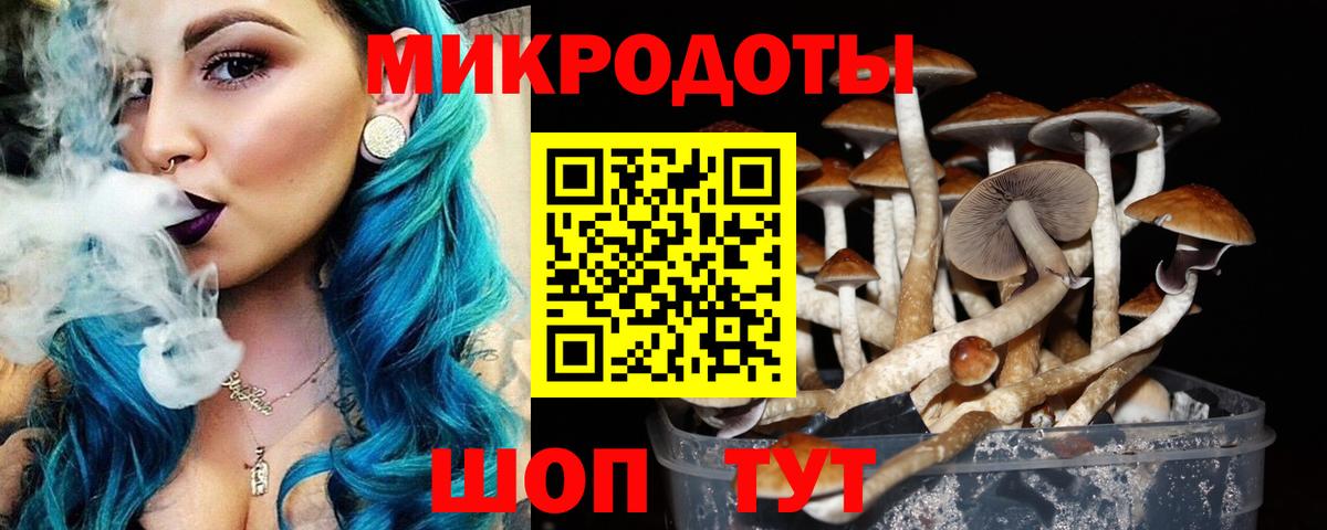 Галлюциногенные грибы ЛСД Котовск
